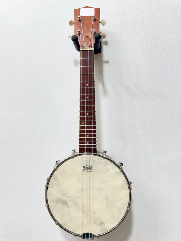 Taojiang Jiexin Musical Instruments Co., Ltd Product 1