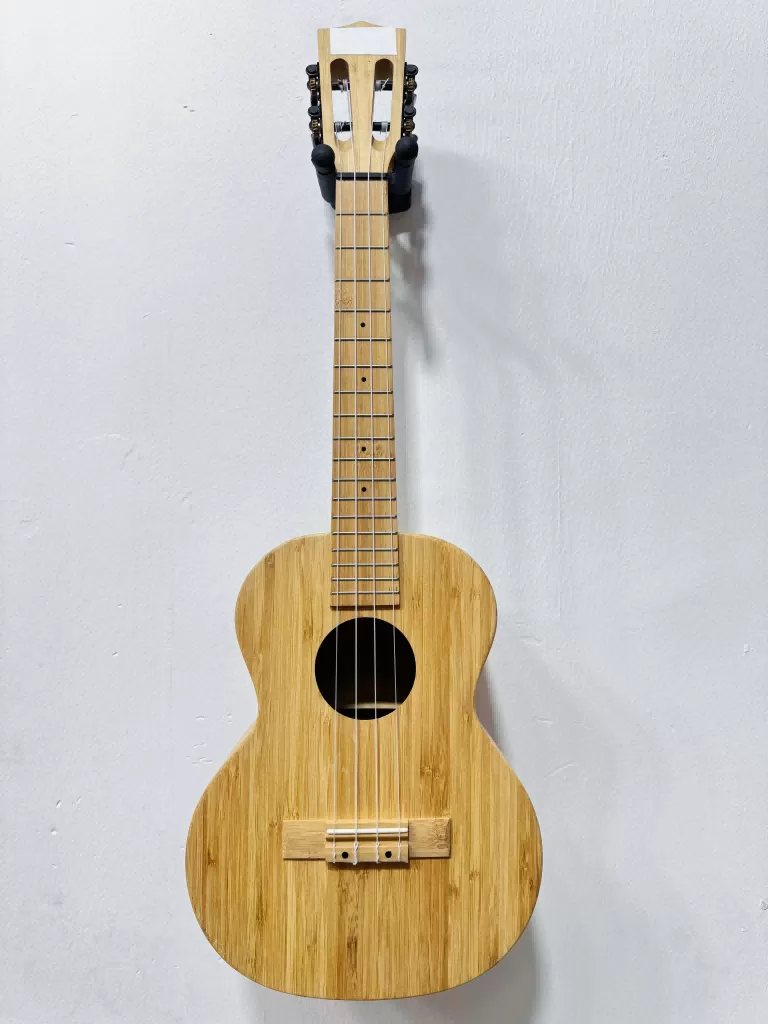 Taojiang Jiexin Musical Instruments Co., Ltd Product 2